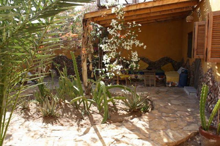 Jillyfish House, Deine Oase In Zwei Palmengarten, Central Am 'Lighthouse' Dahab Exterior photo