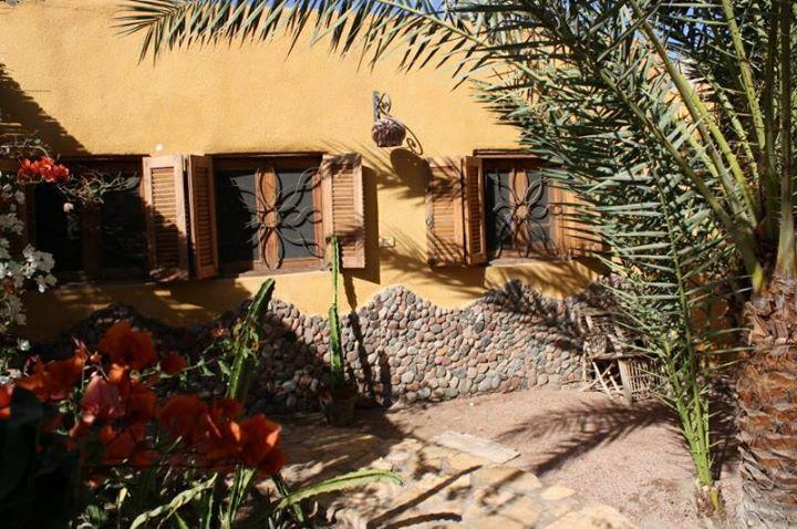 Jillyfish House, Deine Oase In Zwei Palmengarten, Central Am 'Lighthouse' Dahab Exterior photo